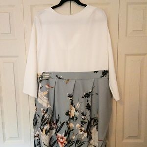 PLUS ASOS Mixed Tone Dress